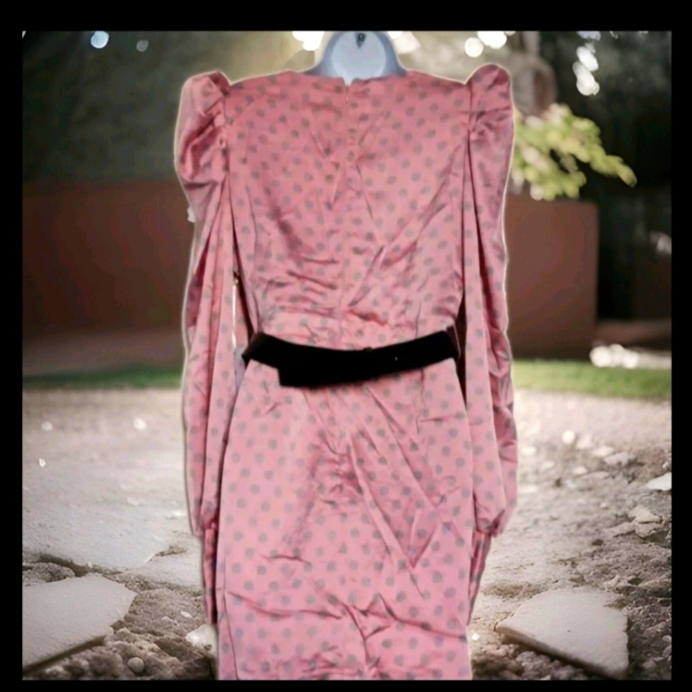 Rosevelvet Women's Midi Pink Combo Dress Size Large NWT - Picture 2 of 6